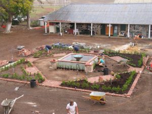 Jimbour House's gardens when they were under construction